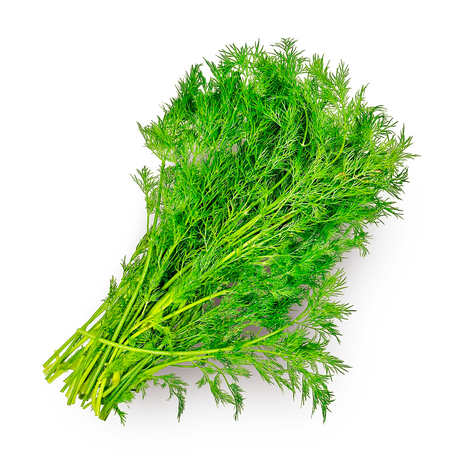 Укроп отборный