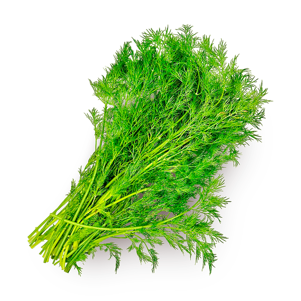 Укроп отборный