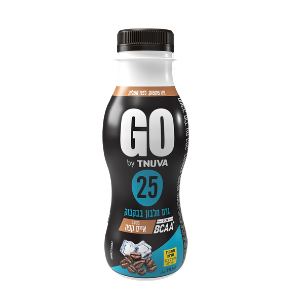 GO Iced Coffee Flavored Milk Drink