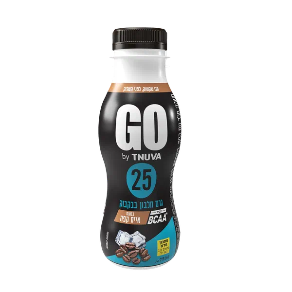 GO Iced Coffee Flavored Milk Drink