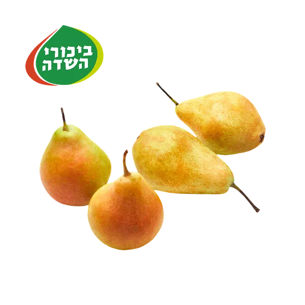 מארז אגסים