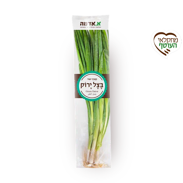 בצל ירוק - ארוז