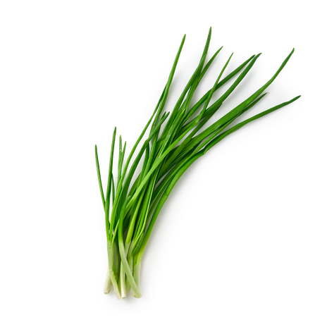 Зелень Лук зеленый