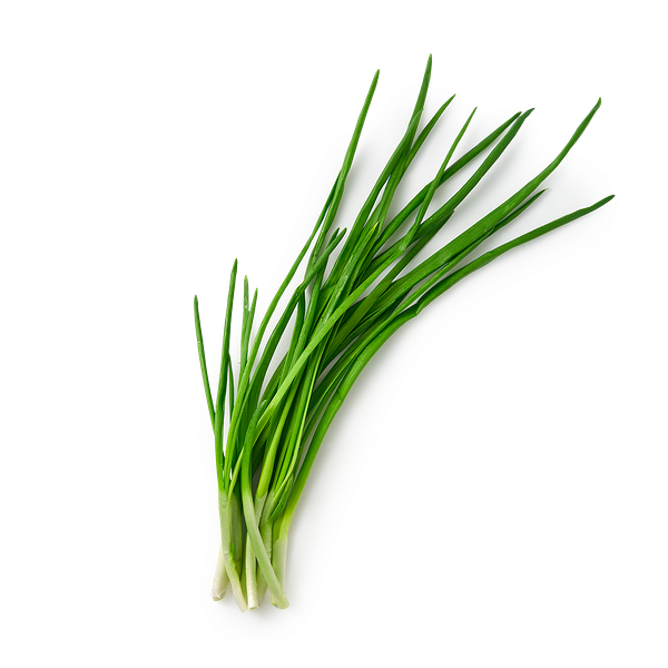 Зелень Лук зеленый