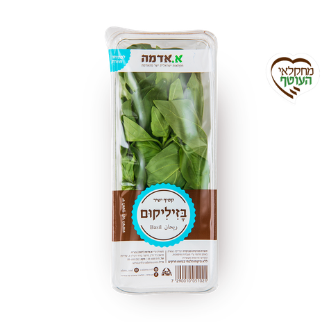 בזיליקום - ארוז