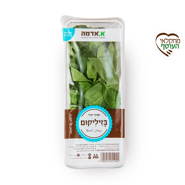 Basil - packed