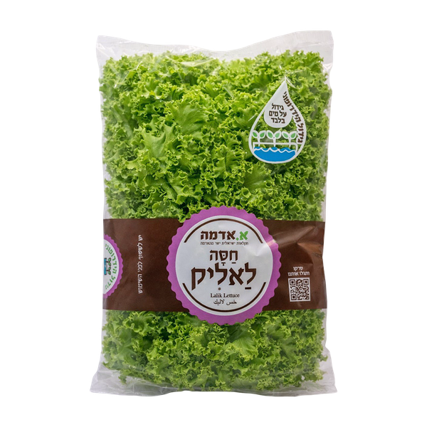 Lalique Lettuce hydroponic packed