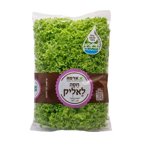 Lalique Lettuce hydroponic packed