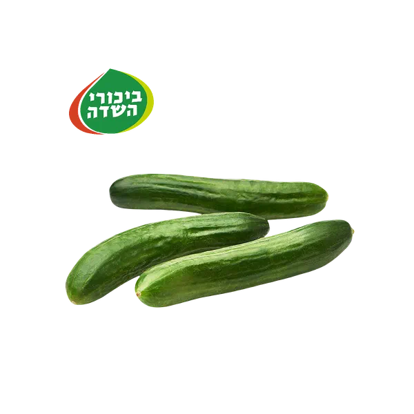 מארז מלפפונים