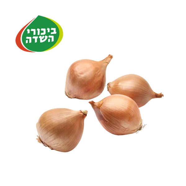Dry onion pack