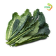 Tuscan black kale leaves Units
