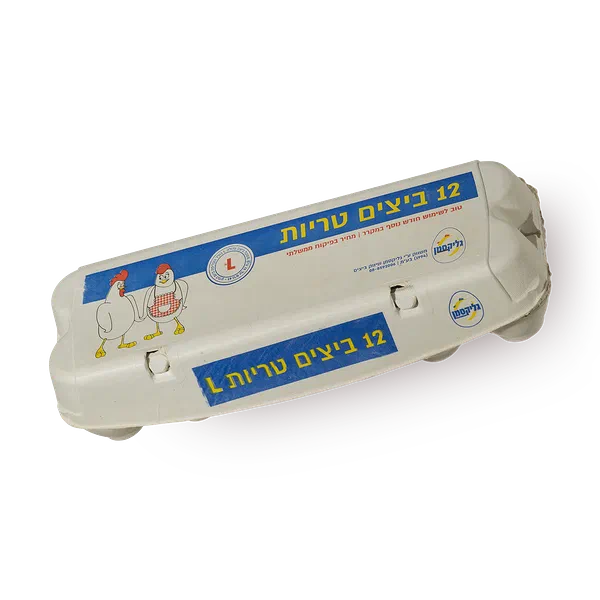 ביצים L- מחיר בפיקוח ממשלתי