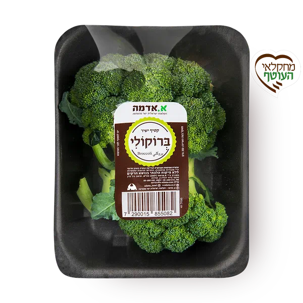 ברוקולי - ארוז