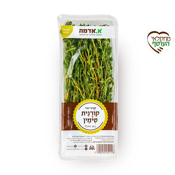 קורנית - ארוז