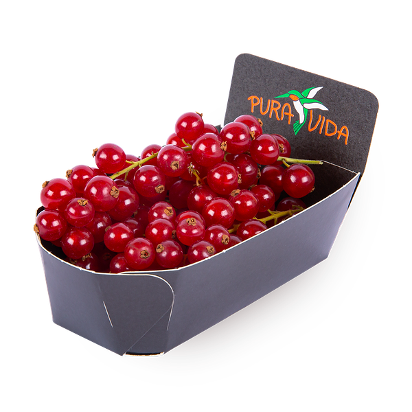 Смородина красная Pura Vida