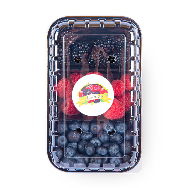 Микс ягод «Алга 73» голубика-малина-ежевика