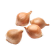Dry onion