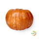 Mini Pumpkin