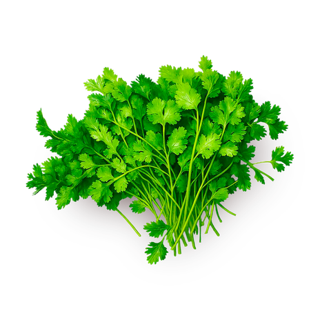 Петрушка отборная