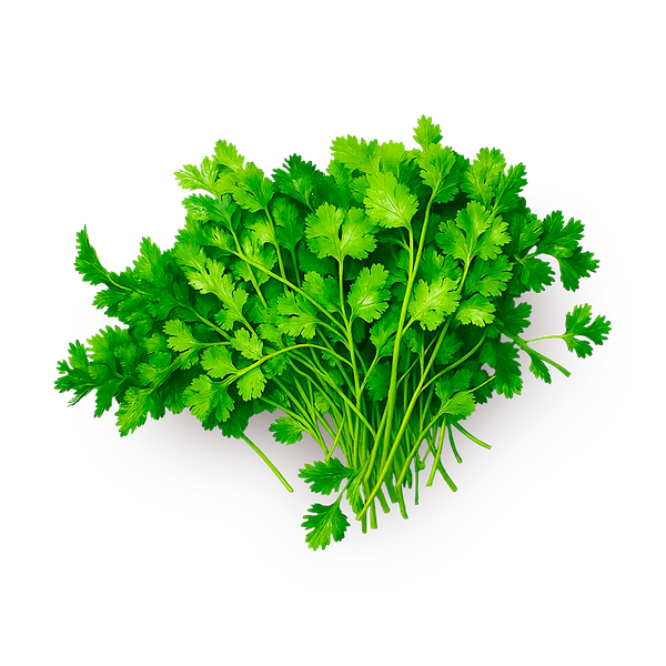 Петрушка отборная