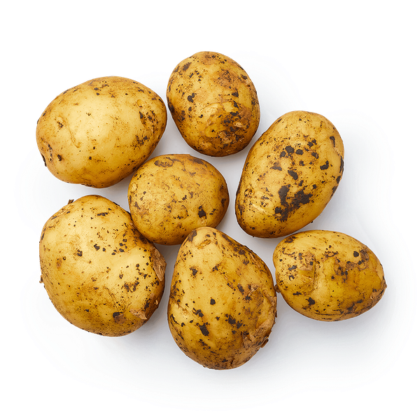 Картофель отборный