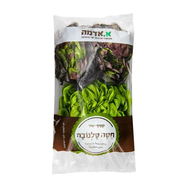 חסה סלנובה הידרופוני מארז