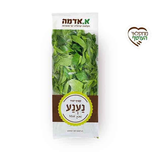Spearmint - packed