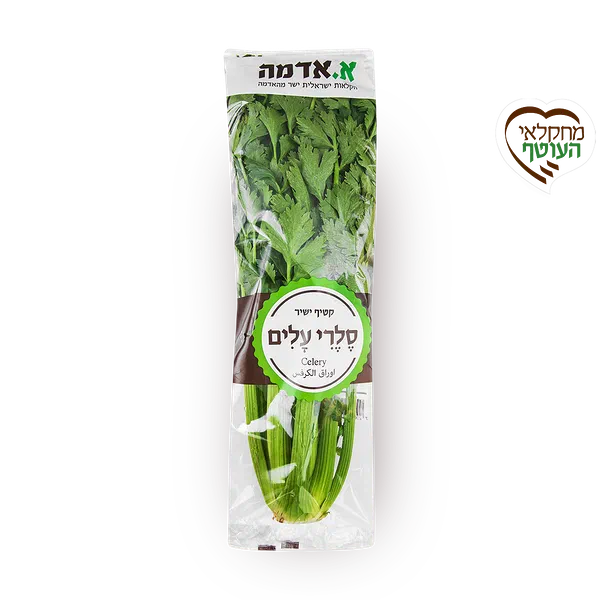 סלרי עלים - ארוז