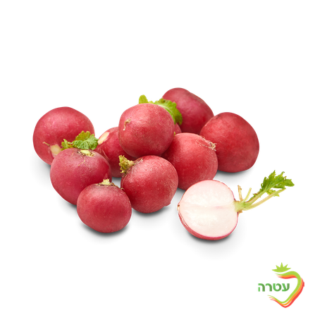 Radish, packed