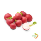 Radish, packed