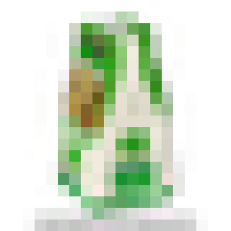 Somersby Cider Pack