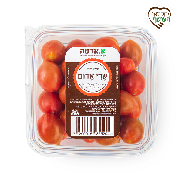 Red Cherry tomatoes, packed