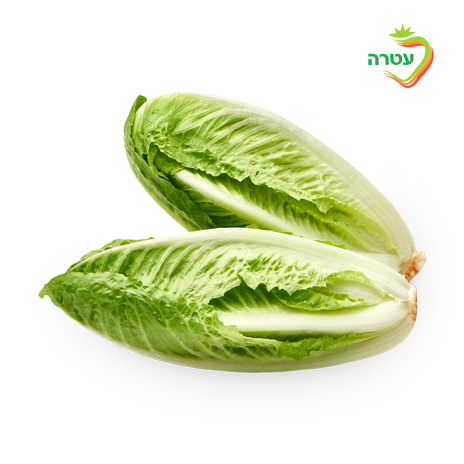 Caesar Lettuce Hearts, packed