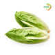 Caesar Lettuce Hearts, packed