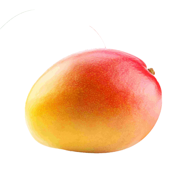 מנגו