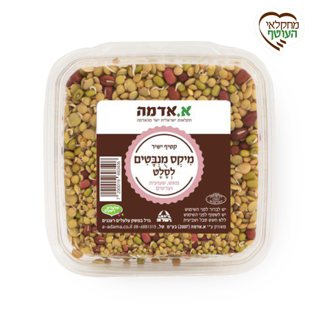 Sprouts mix for salad case pack