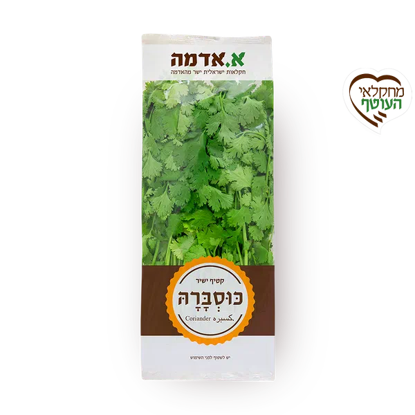 כוסברה - ארוז