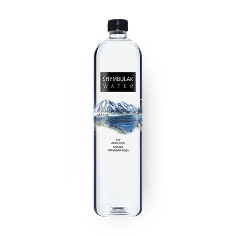 Вода негазированная Shymbulak