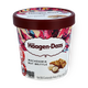Haagen Dazs Macadamia Nut Brittle