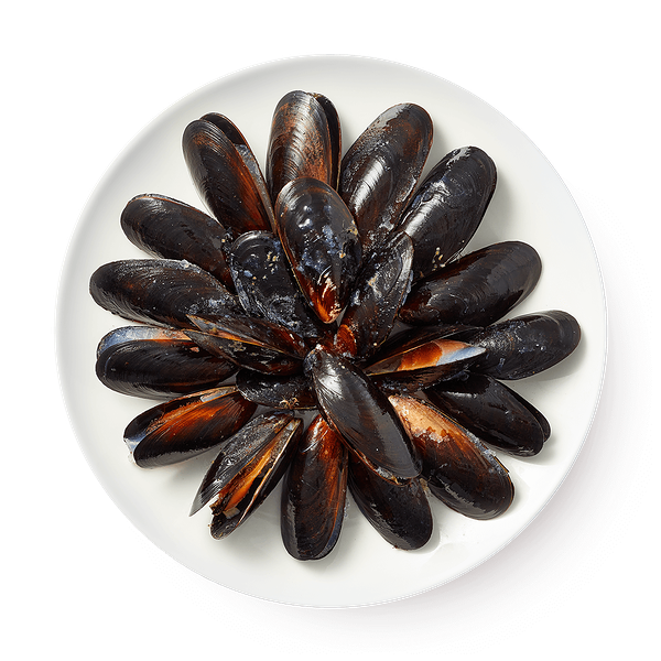 Мидии Agama в створках в собственном соку варёно-мороженые