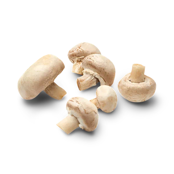 Champignon mushrooms