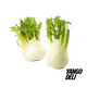 Fennel