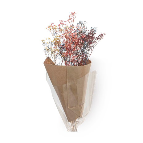 Dried colorful gypsophila