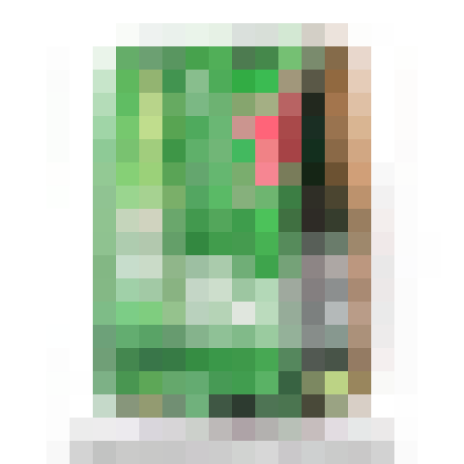 Heineken Beer Pack