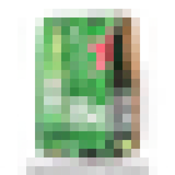 Heineken Beer Pack