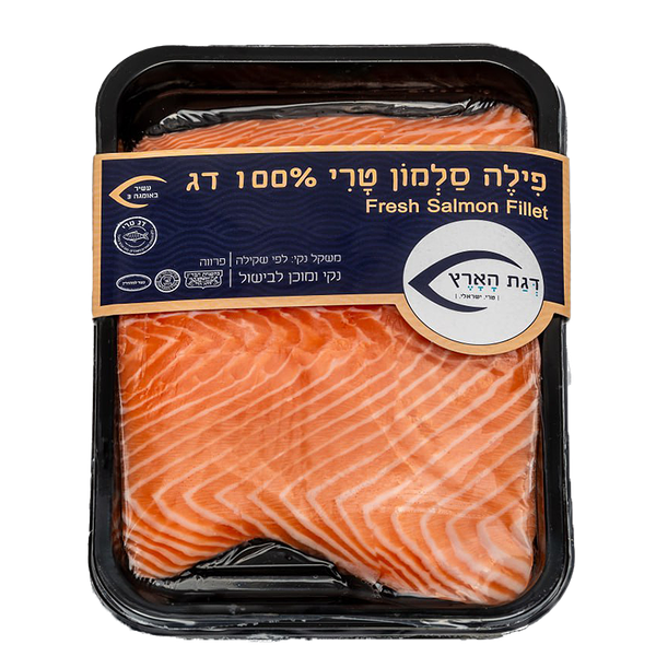 פילה סלמון טרי נתחים דגת הארץ