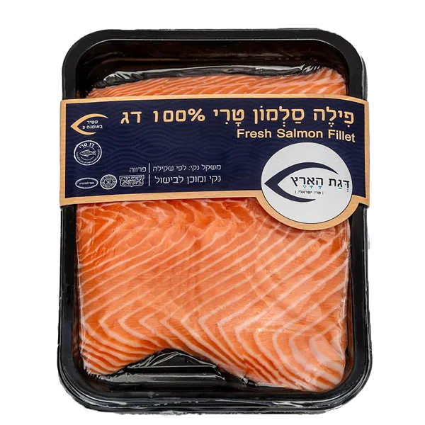 Fresh salmon fillet pieces Haaretz fish