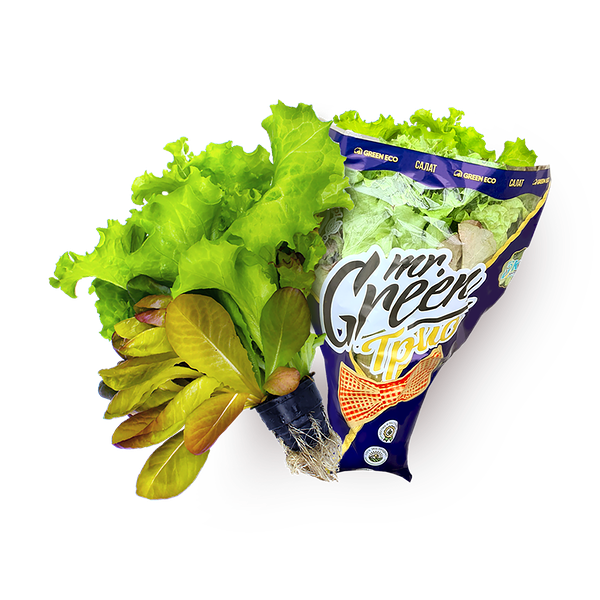 Салат «Грин Эко» Салатрио