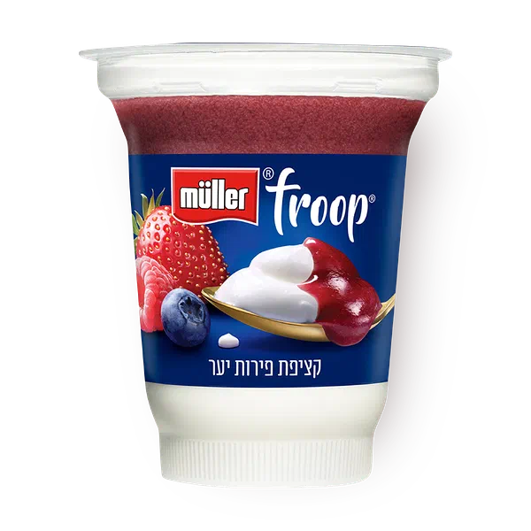 Muller Froop Wildberries yogurt 3%