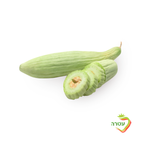 מלפפון פקוס